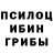 Галлюциногенные грибы Psilocybe Maqas Mmm