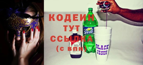 хмурый Лиски