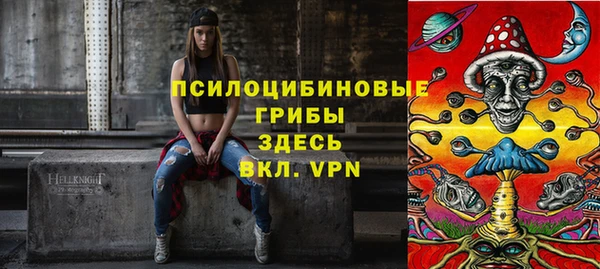 хмурый Лиски