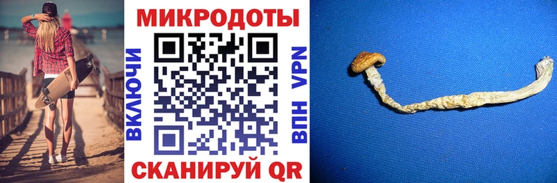 Купить где  Кохма  Галлюциногенные грибы мицелий 